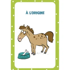 EQUIBOOKS 52 cartes pour tout savoir sur les chevaux - Edition 365< Librairie Equibooks