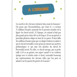 EQUIBOOKS 52 cartes pour tout savoir sur les chevaux - Edition 365< Librairie Equibooks