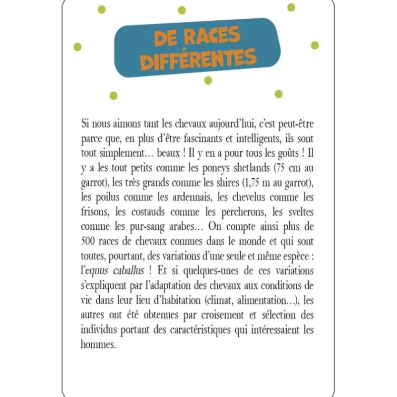EQUIBOOKS 52 cartes pour tout savoir sur les chevaux - Edition 365< Librairie Equibooks