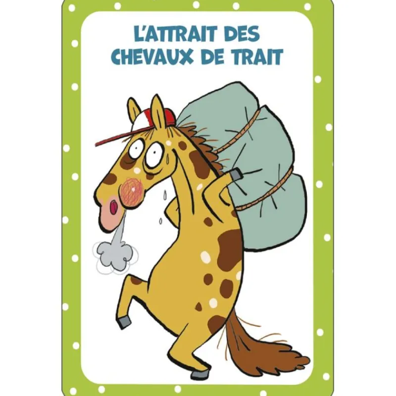 EQUIBOOKS 52 cartes pour tout savoir sur les chevaux - Edition 365< Librairie Equibooks