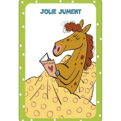 EQUIBOOKS 52 cartes pour tout savoir sur les chevaux - Edition 365< Librairie Equibooks