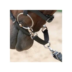 WALDHAUSEN Alliance de mors -< Mors Cheval
