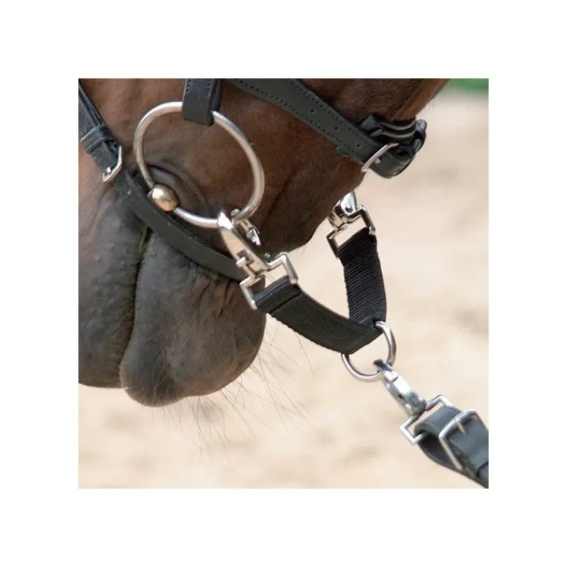 WALDHAUSEN Alliance de mors -< Mors Cheval