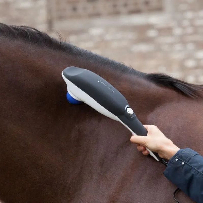 WALDHAUSEN Appareil de massage cheval Super Dandy Go Relax -< Accessoires Thérapeutiques|Accessoires Pansage