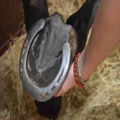 NUTRAGILE Argile naturelle cheval soin des Fourchettes -< Fourchette Pourrie Cheval|Corne Molle Sabot Cheval