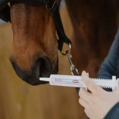 HORSE MASTER B Kalm anti−stress cheval seringue 30 ml -< Equipement Concours|Anti-Stress Cheval Non Dopant