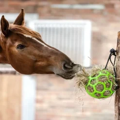 WALDHAUSEN Balle de jeu à foin cheval -< Equipement Concours|Porte De Box Et Accessoires