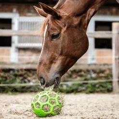 WALDHAUSEN Balle de jeu à foin cheval -< Equipement Concours|Porte De Box Et Accessoires