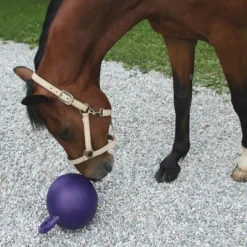 STABLE PRO Balle jouet pour chevaux Horsen Around< Enrichissement Pour Chevaux