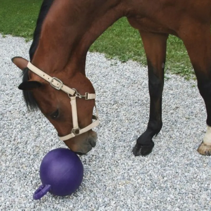 STABLE PRO Balle jouet pour chevaux Horsen Around< Enrichissement Pour Chevaux
