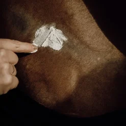 NELLUMBO Baume protecteur et hydratant cheval -< Désinfectant Et Cicatrisant Cheval|Produits Gale De Boue Et Crevasses Cheval