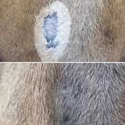 NELLUMBO Baume protecteur et hydratant cheval -< Désinfectant Et Cicatrisant Cheval|Produits Gale De Boue Et Crevasses Cheval