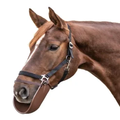 WALDHAUSEN Bavette de couverture cheval -< Accessoires Entretien Couvertures