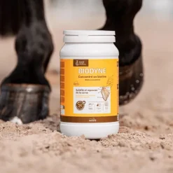 RAVENE Biotine cheval Biodyne -< Complément Peau Cheval|Biotine Cheval