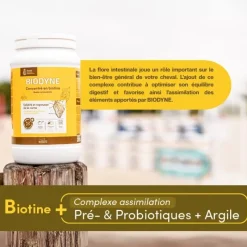 RAVENE Biotine cheval Biodyne -< Complément Peau Cheval|Biotine Cheval