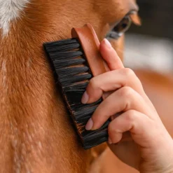 WALDHAUSEN Bouchon tête cheval Hard Wood -< Brosses Et Bouchons Cheval