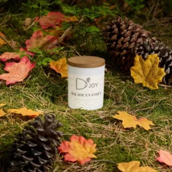 D'JOY Bougie équitation Balade en forêt Classique -< Idées Cadeaux|Accessoires Lifestyle Équitation
