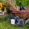 D'JOY Bougie équitation Déjeuner sur l'herbe Mini format -< Idées Cadeaux|Accessoires Lifestyle Équitation