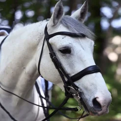ANTARES Bride de dressage muserolle pull back large Signature - Antarès< Brides De Dressage
