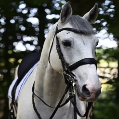ANTARES Bride de dressage muserolle pull back large Signature - Antarès< Brides De Dressage