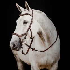 HORSEWARE Bridon anatomique cheval Micklem Rambo Deluxe Competition avec rênes -< Bridons