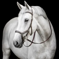 HORSEWARE Bridon anatomique Micklem Rambo Competition Deluxe -< Bridons