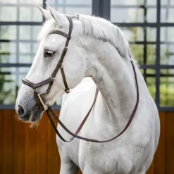 HORSEWARE Bridon anatomique Micklem Rambo Competition Deluxe -< Bridons