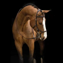 HORSEWARE Bridon anatomique Micklem Rambo Competition Original -< Bridons