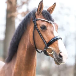 KAVALKADE Bridon cheval anatomique Florina -< Idées Cadeaux|Bridons