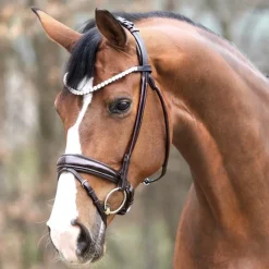 KAVALKADE Bridon cheval anatomique Florina -< Idées Cadeaux|Bridons