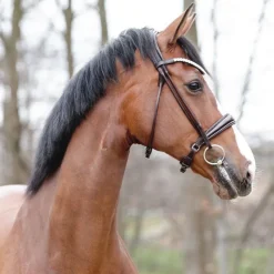 KAVALKADE Bridon cheval anatomique Florina -< Idées Cadeaux|Bridons