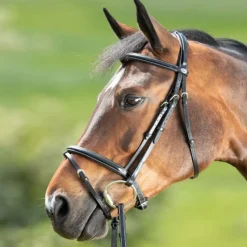 HFI MASTER Bridon cheval cuir Comfort - HFI< Bridons