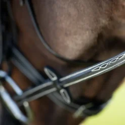 HFI MASTER Bridon cheval cuir Comfort - HFI< Bridons