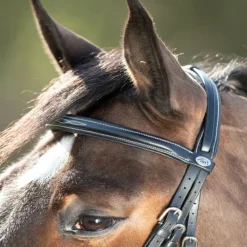 HFI MASTER Bridon cheval cuir Comfort - HFI< Bridons
