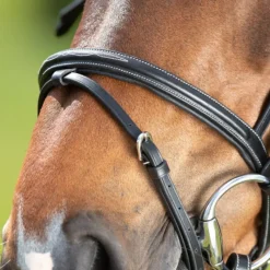 HFI MASTER Bridon cheval cuir Comfort - HFI< Bridons