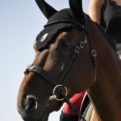 IHWT Bridon cheval cuir Evolution Soft T Contact -< Bridons