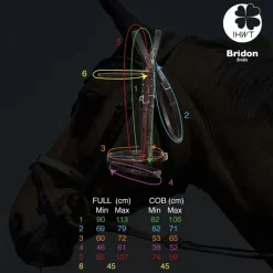IHWT Bridon cheval cuir Evolution Soft T Contact -< Bridons