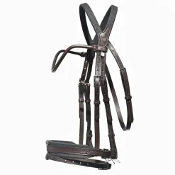 IHWT Bridon cheval cuir Evolution Contact -< Bridons