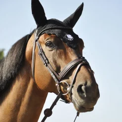 IHWT Bridon cheval cuir Evolution Contact -< Bridons