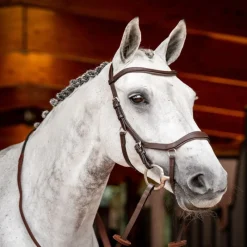 HORSEWARE Bridon cheval cuir Micklem Competition 2 avec rênes -< Bridons