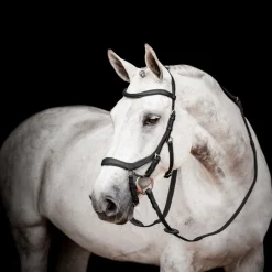 HORSEWARE Bridon cheval cuir Micklem Competition 2 avec rênes -< Bridons