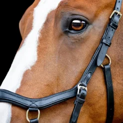 HORSEWARE Bridon cheval cuir Micklem Competition 2 avec rênes -< Bridons