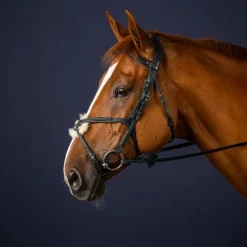 DYON Bridon cheval cuir muserolle croisée New English Collection - Dy'on< Bridons