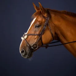 DYON Bridon cheval cuir muserolle croisée New English Collection - Dy'on< Bridons