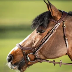 HFI MASTER Bridon cheval cuir muserolle anatomique Techno - HFI< Bridons