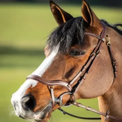 HFI MASTER Bridon cheval cuir muserolle anatomique Techno - HFI< Bridons