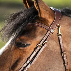 HFI MASTER Bridon cheval cuir muserolle anatomique Techno - HFI< Bridons