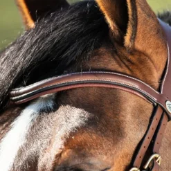HFI MASTER Bridon cheval cuir muserolle anatomique Techno - HFI< Bridons