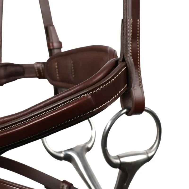 ANTARES Bridon cheval cuir Signature Sport - Antarès< Bridons