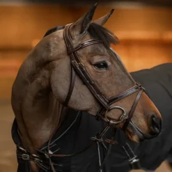 HFI MASTER Bridon cheval cuir vernis Painted -< Bridons